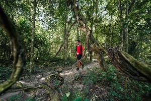 BIB: 
                            <button type="button" onclick="openModal(28073735)" class="btn btn-primary btn-sm float-right btn-popup" data-toggle="modal" data-target=".modal-high-quality">
                        <i class="fas fa-shopping-cart"></i> Add to Cart
                    </button>
                                            <button type="button" onclick="isThisMe(28073735, true)" class="btn btn-success btn-sm float-right btn-popup btn-isme hidden" data-toggle="tooltip" data-placement="bottom" title="นี่คือรูปของคุณใช่ไหม คลิกที่นี่เพื่อเอาเข้าอัลบั้ม">
                        <i class="fas fa-plus"></i> Add to album
                    </button>
                    <button type="button" onclick="isThisMe(28073735, false)" class="btn btn-warning btn-sm float-right btn-popup btn-isnotme hidden">
                        <i class="fas fa-ban"></i> Remove from album
                    </button>