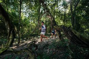 BIB: 
                            <button type="button" onclick="openModal(28056768)" class="btn btn-primary btn-sm float-right btn-popup" data-toggle="modal" data-target=".modal-high-quality">
                        <i class="fas fa-shopping-cart"></i> Add to Cart
                    </button>
                                            <button type="button" onclick="isThisMe(28056768, true)" class="btn btn-success btn-sm float-right btn-popup btn-isme hidden" data-toggle="tooltip" data-placement="bottom" title="นี่คือรูปของคุณใช่ไหม คลิกที่นี่เพื่อเอาเข้าอัลบั้ม">
                        <i class="fas fa-plus"></i> Add to album
                    </button>
                    <button type="button" onclick="isThisMe(28056768, false)" class="btn btn-warning btn-sm float-right btn-popup btn-isnotme hidden">
                        <i class="fas fa-ban"></i> Remove from album
                    </button>