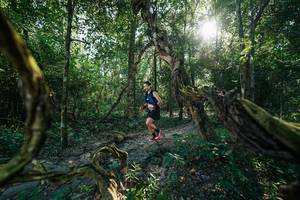 BIB: 
                            <button type="button" onclick="openModal(27954195)" class="btn btn-primary btn-sm float-right btn-popup" data-toggle="modal" data-target=".modal-high-quality">
                        <i class="fas fa-shopping-cart"></i> Add to Cart
                    </button>
                                            <button type="button" onclick="isThisMe(27954195, true)" class="btn btn-success btn-sm float-right btn-popup btn-isme hidden" data-toggle="tooltip" data-placement="bottom" title="นี่คือรูปของคุณใช่ไหม คลิกที่นี่เพื่อเอาเข้าอัลบั้ม">
                        <i class="fas fa-plus"></i> Add to album
                    </button>
                    <button type="button" onclick="isThisMe(27954195, false)" class="btn btn-warning btn-sm float-right btn-popup btn-isnotme hidden">
                        <i class="fas fa-ban"></i> Remove from album
                    </button>