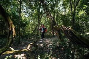 BIB: 
                            <button type="button" onclick="openModal(28068387)" class="btn btn-primary btn-sm float-right btn-popup" data-toggle="modal" data-target=".modal-high-quality">
                        <i class="fas fa-shopping-cart"></i> Add to Cart
                    </button>
                                            <button type="button" onclick="isThisMe(28068387, true)" class="btn btn-success btn-sm float-right btn-popup btn-isme hidden" data-toggle="tooltip" data-placement="bottom" title="นี่คือรูปของคุณใช่ไหม คลิกที่นี่เพื่อเอาเข้าอัลบั้ม">
                        <i class="fas fa-plus"></i> Add to album
                    </button>
                    <button type="button" onclick="isThisMe(28068387, false)" class="btn btn-warning btn-sm float-right btn-popup btn-isnotme hidden">
                        <i class="fas fa-ban"></i> Remove from album
                    </button>