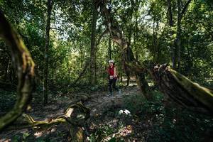 BIB: 
                            <button type="button" onclick="openModal(28058750)" class="btn btn-primary btn-sm float-right btn-popup" data-toggle="modal" data-target=".modal-high-quality">
                        <i class="fas fa-shopping-cart"></i> Add to Cart
                    </button>
                                            <button type="button" onclick="isThisMe(28058750, true)" class="btn btn-success btn-sm float-right btn-popup btn-isme hidden" data-toggle="tooltip" data-placement="bottom" title="นี่คือรูปของคุณใช่ไหม คลิกที่นี่เพื่อเอาเข้าอัลบั้ม">
                        <i class="fas fa-plus"></i> Add to album
                    </button>
                    <button type="button" onclick="isThisMe(28058750, false)" class="btn btn-warning btn-sm float-right btn-popup btn-isnotme hidden">
                        <i class="fas fa-ban"></i> Remove from album
                    </button>