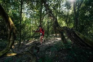 BIB: 
                            <button type="button" onclick="openModal(28057354)" class="btn btn-primary btn-sm float-right btn-popup" data-toggle="modal" data-target=".modal-high-quality">
                        <i class="fas fa-shopping-cart"></i> Add to Cart
                    </button>
                                            <button type="button" onclick="isThisMe(28057354, true)" class="btn btn-success btn-sm float-right btn-popup btn-isme hidden" data-toggle="tooltip" data-placement="bottom" title="นี่คือรูปของคุณใช่ไหม คลิกที่นี่เพื่อเอาเข้าอัลบั้ม">
                        <i class="fas fa-plus"></i> Add to album
                    </button>
                    <button type="button" onclick="isThisMe(28057354, false)" class="btn btn-warning btn-sm float-right btn-popup btn-isnotme hidden">
                        <i class="fas fa-ban"></i> Remove from album
                    </button>