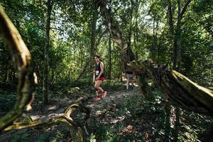 BIB: 
                            <button type="button" onclick="openModal(28066937)" class="btn btn-primary btn-sm float-right btn-popup" data-toggle="modal" data-target=".modal-high-quality">
                        <i class="fas fa-shopping-cart"></i> Add to Cart
                    </button>
                                            <button type="button" onclick="isThisMe(28066937, true)" class="btn btn-success btn-sm float-right btn-popup btn-isme hidden" data-toggle="tooltip" data-placement="bottom" title="นี่คือรูปของคุณใช่ไหม คลิกที่นี่เพื่อเอาเข้าอัลบั้ม">
                        <i class="fas fa-plus"></i> Add to album
                    </button>
                    <button type="button" onclick="isThisMe(28066937, false)" class="btn btn-warning btn-sm float-right btn-popup btn-isnotme hidden">
                        <i class="fas fa-ban"></i> Remove from album
                    </button>