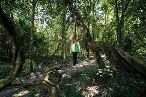 BIB: 
                            <button type="button" onclick="openModal(28071381)" class="btn btn-primary btn-sm float-right btn-popup" data-toggle="modal" data-target=".modal-high-quality">
                        <i class="fas fa-shopping-cart"></i> Add to Cart
                    </button>
                                            <button type="button" onclick="isThisMe(28071381, true)" class="btn btn-success btn-sm float-right btn-popup btn-isme hidden" data-toggle="tooltip" data-placement="bottom" title="นี่คือรูปของคุณใช่ไหม คลิกที่นี่เพื่อเอาเข้าอัลบั้ม">
                        <i class="fas fa-plus"></i> Add to album
                    </button>
                    <button type="button" onclick="isThisMe(28071381, false)" class="btn btn-warning btn-sm float-right btn-popup btn-isnotme hidden">
                        <i class="fas fa-ban"></i> Remove from album
                    </button>