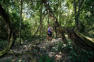 BIB: 
                            <button type="button" onclick="openModal(28071471)" class="btn btn-primary btn-sm float-right btn-popup" data-toggle="modal" data-target=".modal-high-quality">
                        <i class="fas fa-shopping-cart"></i> Add to Cart
                    </button>
                                            <button type="button" onclick="isThisMe(28071471, true)" class="btn btn-success btn-sm float-right btn-popup btn-isme hidden" data-toggle="tooltip" data-placement="bottom" title="นี่คือรูปของคุณใช่ไหม คลิกที่นี่เพื่อเอาเข้าอัลบั้ม">
                        <i class="fas fa-plus"></i> Add to album
                    </button>
                    <button type="button" onclick="isThisMe(28071471, false)" class="btn btn-warning btn-sm float-right btn-popup btn-isnotme hidden">
                        <i class="fas fa-ban"></i> Remove from album
                    </button>