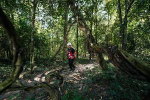 BIB: 
                            <button type="button" onclick="openModal(28070226)" class="btn btn-primary btn-sm float-right btn-popup" data-toggle="modal" data-target=".modal-high-quality">
                        <i class="fas fa-shopping-cart"></i> Add to Cart
                    </button>
                                            <button type="button" onclick="isThisMe(28070226, true)" class="btn btn-success btn-sm float-right btn-popup btn-isme hidden" data-toggle="tooltip" data-placement="bottom" title="นี่คือรูปของคุณใช่ไหม คลิกที่นี่เพื่อเอาเข้าอัลบั้ม">
                        <i class="fas fa-plus"></i> Add to album
                    </button>
                    <button type="button" onclick="isThisMe(28070226, false)" class="btn btn-warning btn-sm float-right btn-popup btn-isnotme hidden">
                        <i class="fas fa-ban"></i> Remove from album
                    </button>