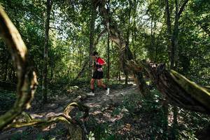 BIB: 
                            <button type="button" onclick="openModal(28066724)" class="btn btn-primary btn-sm float-right btn-popup" data-toggle="modal" data-target=".modal-high-quality">
                        <i class="fas fa-shopping-cart"></i> Add to Cart
                    </button>
                                            <button type="button" onclick="isThisMe(28066724, true)" class="btn btn-success btn-sm float-right btn-popup btn-isme hidden" data-toggle="tooltip" data-placement="bottom" title="นี่คือรูปของคุณใช่ไหม คลิกที่นี่เพื่อเอาเข้าอัลบั้ม">
                        <i class="fas fa-plus"></i> Add to album
                    </button>
                    <button type="button" onclick="isThisMe(28066724, false)" class="btn btn-warning btn-sm float-right btn-popup btn-isnotme hidden">
                        <i class="fas fa-ban"></i> Remove from album
                    </button>