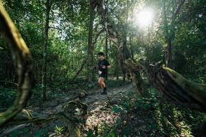 BIB: 
                            <button type="button" onclick="openModal(27954733)" class="btn btn-primary btn-sm float-right btn-popup" data-toggle="modal" data-target=".modal-high-quality">
                        <i class="fas fa-shopping-cart"></i> Add to Cart
                    </button>
                                            <button type="button" onclick="isThisMe(27954733, true)" class="btn btn-success btn-sm float-right btn-popup btn-isme hidden" data-toggle="tooltip" data-placement="bottom" title="นี่คือรูปของคุณใช่ไหม คลิกที่นี่เพื่อเอาเข้าอัลบั้ม">
                        <i class="fas fa-plus"></i> Add to album
                    </button>
                    <button type="button" onclick="isThisMe(27954733, false)" class="btn btn-warning btn-sm float-right btn-popup btn-isnotme hidden">
                        <i class="fas fa-ban"></i> Remove from album
                    </button>