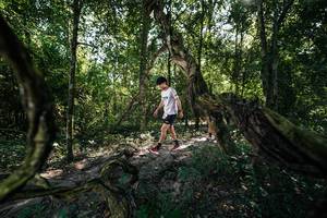 BIB: 
                            <button type="button" onclick="openModal(28056927)" class="btn btn-primary btn-sm float-right btn-popup" data-toggle="modal" data-target=".modal-high-quality">
                        <i class="fas fa-shopping-cart"></i> Add to Cart
                    </button>
                                            <button type="button" onclick="isThisMe(28056927, true)" class="btn btn-success btn-sm float-right btn-popup btn-isme hidden" data-toggle="tooltip" data-placement="bottom" title="นี่คือรูปของคุณใช่ไหม คลิกที่นี่เพื่อเอาเข้าอัลบั้ม">
                        <i class="fas fa-plus"></i> Add to album
                    </button>
                    <button type="button" onclick="isThisMe(28056927, false)" class="btn btn-warning btn-sm float-right btn-popup btn-isnotme hidden">
                        <i class="fas fa-ban"></i> Remove from album
                    </button>