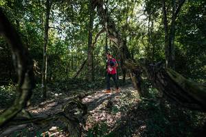 BIB: 
                            <button type="button" onclick="openModal(27955323)" class="btn btn-primary btn-sm float-right btn-popup" data-toggle="modal" data-target=".modal-high-quality">
                        <i class="fas fa-shopping-cart"></i> Add to Cart
                    </button>
                                            <button type="button" onclick="isThisMe(27955323, true)" class="btn btn-success btn-sm float-right btn-popup btn-isme hidden" data-toggle="tooltip" data-placement="bottom" title="นี่คือรูปของคุณใช่ไหม คลิกที่นี่เพื่อเอาเข้าอัลบั้ม">
                        <i class="fas fa-plus"></i> Add to album
                    </button>
                    <button type="button" onclick="isThisMe(27955323, false)" class="btn btn-warning btn-sm float-right btn-popup btn-isnotme hidden">
                        <i class="fas fa-ban"></i> Remove from album
                    </button>