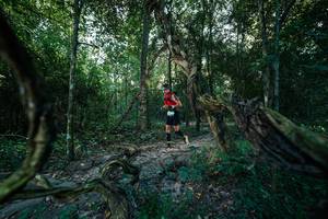 BIB: 
                            <button type="button" onclick="openModal(27953013)" class="btn btn-primary btn-sm float-right btn-popup" data-toggle="modal" data-target=".modal-high-quality">
                        <i class="fas fa-shopping-cart"></i> Add to Cart
                    </button>
                                            <button type="button" onclick="isThisMe(27953013, true)" class="btn btn-success btn-sm float-right btn-popup btn-isme hidden" data-toggle="tooltip" data-placement="bottom" title="นี่คือรูปของคุณใช่ไหม คลิกที่นี่เพื่อเอาเข้าอัลบั้ม">
                        <i class="fas fa-plus"></i> Add to album
                    </button>
                    <button type="button" onclick="isThisMe(27953013, false)" class="btn btn-warning btn-sm float-right btn-popup btn-isnotme hidden">
                        <i class="fas fa-ban"></i> Remove from album
                    </button>