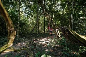 BIB: 
                            <button type="button" onclick="openModal(28076841)" class="btn btn-primary btn-sm float-right btn-popup" data-toggle="modal" data-target=".modal-high-quality">
                        <i class="fas fa-shopping-cart"></i> Add to Cart
                    </button>
                                            <button type="button" onclick="isThisMe(28076841, true)" class="btn btn-success btn-sm float-right btn-popup btn-isme hidden" data-toggle="tooltip" data-placement="bottom" title="นี่คือรูปของคุณใช่ไหม คลิกที่นี่เพื่อเอาเข้าอัลบั้ม">
                        <i class="fas fa-plus"></i> Add to album
                    </button>
                    <button type="button" onclick="isThisMe(28076841, false)" class="btn btn-warning btn-sm float-right btn-popup btn-isnotme hidden">
                        <i class="fas fa-ban"></i> Remove from album
                    </button>