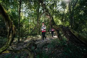 BIB: 
                            <button type="button" onclick="openModal(28057212)" class="btn btn-primary btn-sm float-right btn-popup" data-toggle="modal" data-target=".modal-high-quality">
                        <i class="fas fa-shopping-cart"></i> Add to Cart
                    </button>
                                            <button type="button" onclick="isThisMe(28057212, true)" class="btn btn-success btn-sm float-right btn-popup btn-isme hidden" data-toggle="tooltip" data-placement="bottom" title="นี่คือรูปของคุณใช่ไหม คลิกที่นี่เพื่อเอาเข้าอัลบั้ม">
                        <i class="fas fa-plus"></i> Add to album
                    </button>
                    <button type="button" onclick="isThisMe(28057212, false)" class="btn btn-warning btn-sm float-right btn-popup btn-isnotme hidden">
                        <i class="fas fa-ban"></i> Remove from album
                    </button>