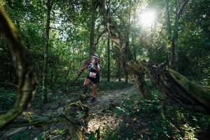 BIB: 
                            <button type="button" onclick="openModal(27954598)" class="btn btn-primary btn-sm float-right btn-popup" data-toggle="modal" data-target=".modal-high-quality">
                        <i class="fas fa-shopping-cart"></i> Add to Cart
                    </button>
                                            <button type="button" onclick="isThisMe(27954598, true)" class="btn btn-success btn-sm float-right btn-popup btn-isme hidden" data-toggle="tooltip" data-placement="bottom" title="นี่คือรูปของคุณใช่ไหม คลิกที่นี่เพื่อเอาเข้าอัลบั้ม">
                        <i class="fas fa-plus"></i> Add to album
                    </button>
                    <button type="button" onclick="isThisMe(27954598, false)" class="btn btn-warning btn-sm float-right btn-popup btn-isnotme hidden">
                        <i class="fas fa-ban"></i> Remove from album
                    </button>