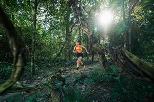 BIB: 
                            <button type="button" onclick="openModal(27953691)" class="btn btn-primary btn-sm float-right btn-popup" data-toggle="modal" data-target=".modal-high-quality">
                        <i class="fas fa-shopping-cart"></i> Add to Cart
                    </button>
                                            <button type="button" onclick="isThisMe(27953691, true)" class="btn btn-success btn-sm float-right btn-popup btn-isme hidden" data-toggle="tooltip" data-placement="bottom" title="นี่คือรูปของคุณใช่ไหม คลิกที่นี่เพื่อเอาเข้าอัลบั้ม">
                        <i class="fas fa-plus"></i> Add to album
                    </button>
                    <button type="button" onclick="isThisMe(27953691, false)" class="btn btn-warning btn-sm float-right btn-popup btn-isnotme hidden">
                        <i class="fas fa-ban"></i> Remove from album
                    </button>