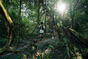 BIB: 
                            <button type="button" onclick="openModal(27954774)" class="btn btn-primary btn-sm float-right btn-popup" data-toggle="modal" data-target=".modal-high-quality">
                        <i class="fas fa-shopping-cart"></i> Add to Cart
                    </button>
                                            <button type="button" onclick="isThisMe(27954774, true)" class="btn btn-success btn-sm float-right btn-popup btn-isme hidden" data-toggle="tooltip" data-placement="bottom" title="นี่คือรูปของคุณใช่ไหม คลิกที่นี่เพื่อเอาเข้าอัลบั้ม">
                        <i class="fas fa-plus"></i> Add to album
                    </button>
                    <button type="button" onclick="isThisMe(27954774, false)" class="btn btn-warning btn-sm float-right btn-popup btn-isnotme hidden">
                        <i class="fas fa-ban"></i> Remove from album
                    </button>