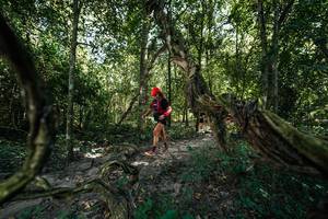 BIB: 
                            <button type="button" onclick="openModal(28072499)" class="btn btn-primary btn-sm float-right btn-popup" data-toggle="modal" data-target=".modal-high-quality">
                        <i class="fas fa-shopping-cart"></i> Add to Cart
                    </button>
                                            <button type="button" onclick="isThisMe(28072499, true)" class="btn btn-success btn-sm float-right btn-popup btn-isme hidden" data-toggle="tooltip" data-placement="bottom" title="นี่คือรูปของคุณใช่ไหม คลิกที่นี่เพื่อเอาเข้าอัลบั้ม">
                        <i class="fas fa-plus"></i> Add to album
                    </button>
                    <button type="button" onclick="isThisMe(28072499, false)" class="btn btn-warning btn-sm float-right btn-popup btn-isnotme hidden">
                        <i class="fas fa-ban"></i> Remove from album
                    </button>