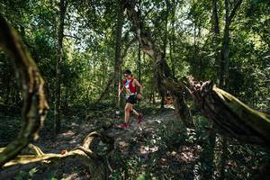 BIB: 
                            <button type="button" onclick="openModal(28067505)" class="btn btn-primary btn-sm float-right btn-popup" data-toggle="modal" data-target=".modal-high-quality">
                        <i class="fas fa-shopping-cart"></i> Add to Cart
                    </button>
                                            <button type="button" onclick="isThisMe(28067505, true)" class="btn btn-success btn-sm float-right btn-popup btn-isme hidden" data-toggle="tooltip" data-placement="bottom" title="นี่คือรูปของคุณใช่ไหม คลิกที่นี่เพื่อเอาเข้าอัลบั้ม">
                        <i class="fas fa-plus"></i> Add to album
                    </button>
                    <button type="button" onclick="isThisMe(28067505, false)" class="btn btn-warning btn-sm float-right btn-popup btn-isnotme hidden">
                        <i class="fas fa-ban"></i> Remove from album
                    </button>