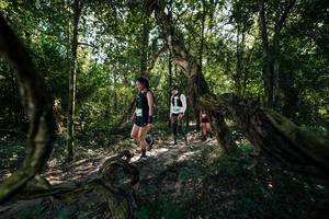 BIB: 
                            <button type="button" onclick="openModal(28056384)" class="btn btn-primary btn-sm float-right btn-popup" data-toggle="modal" data-target=".modal-high-quality">
                        <i class="fas fa-shopping-cart"></i> Add to Cart
                    </button>
                                            <button type="button" onclick="isThisMe(28056384, true)" class="btn btn-success btn-sm float-right btn-popup btn-isme hidden" data-toggle="tooltip" data-placement="bottom" title="นี่คือรูปของคุณใช่ไหม คลิกที่นี่เพื่อเอาเข้าอัลบั้ม">
                        <i class="fas fa-plus"></i> Add to album
                    </button>
                    <button type="button" onclick="isThisMe(28056384, false)" class="btn btn-warning btn-sm float-right btn-popup btn-isnotme hidden">
                        <i class="fas fa-ban"></i> Remove from album
                    </button>