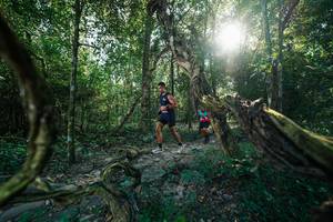 BIB: 
                            <button type="button" onclick="openModal(27953862)" class="btn btn-primary btn-sm float-right btn-popup" data-toggle="modal" data-target=".modal-high-quality">
                        <i class="fas fa-shopping-cart"></i> Add to Cart
                    </button>
                                            <button type="button" onclick="isThisMe(27953862, true)" class="btn btn-success btn-sm float-right btn-popup btn-isme hidden" data-toggle="tooltip" data-placement="bottom" title="นี่คือรูปของคุณใช่ไหม คลิกที่นี่เพื่อเอาเข้าอัลบั้ม">
                        <i class="fas fa-plus"></i> Add to album
                    </button>
                    <button type="button" onclick="isThisMe(27953862, false)" class="btn btn-warning btn-sm float-right btn-popup btn-isnotme hidden">
                        <i class="fas fa-ban"></i> Remove from album
                    </button>