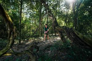 BIB: 
                            <button type="button" onclick="openModal(28057272)" class="btn btn-primary btn-sm float-right btn-popup" data-toggle="modal" data-target=".modal-high-quality">
                        <i class="fas fa-shopping-cart"></i> Add to Cart
                    </button>
                                            <button type="button" onclick="isThisMe(28057272, true)" class="btn btn-success btn-sm float-right btn-popup btn-isme hidden" data-toggle="tooltip" data-placement="bottom" title="นี่คือรูปของคุณใช่ไหม คลิกที่นี่เพื่อเอาเข้าอัลบั้ม">
                        <i class="fas fa-plus"></i> Add to album
                    </button>
                    <button type="button" onclick="isThisMe(28057272, false)" class="btn btn-warning btn-sm float-right btn-popup btn-isnotme hidden">
                        <i class="fas fa-ban"></i> Remove from album
                    </button>