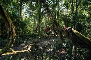 BIB: 
                            <button type="button" onclick="openModal(28067542)" class="btn btn-primary btn-sm float-right btn-popup" data-toggle="modal" data-target=".modal-high-quality">
                        <i class="fas fa-shopping-cart"></i> Add to Cart
                    </button>
                                            <button type="button" onclick="isThisMe(28067542, true)" class="btn btn-success btn-sm float-right btn-popup btn-isme hidden" data-toggle="tooltip" data-placement="bottom" title="นี่คือรูปของคุณใช่ไหม คลิกที่นี่เพื่อเอาเข้าอัลบั้ม">
                        <i class="fas fa-plus"></i> Add to album
                    </button>
                    <button type="button" onclick="isThisMe(28067542, false)" class="btn btn-warning btn-sm float-right btn-popup btn-isnotme hidden">
                        <i class="fas fa-ban"></i> Remove from album
                    </button>