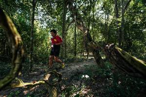 BIB: 
                            <button type="button" onclick="openModal(28058688)" class="btn btn-primary btn-sm float-right btn-popup" data-toggle="modal" data-target=".modal-high-quality">
                        <i class="fas fa-shopping-cart"></i> Add to Cart
                    </button>
                                            <button type="button" onclick="isThisMe(28058688, true)" class="btn btn-success btn-sm float-right btn-popup btn-isme hidden" data-toggle="tooltip" data-placement="bottom" title="นี่คือรูปของคุณใช่ไหม คลิกที่นี่เพื่อเอาเข้าอัลบั้ม">
                        <i class="fas fa-plus"></i> Add to album
                    </button>
                    <button type="button" onclick="isThisMe(28058688, false)" class="btn btn-warning btn-sm float-right btn-popup btn-isnotme hidden">
                        <i class="fas fa-ban"></i> Remove from album
                    </button>