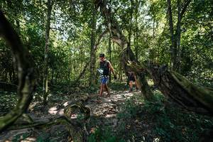 BIB: 
                            <button type="button" onclick="openModal(28070471)" class="btn btn-primary btn-sm float-right btn-popup" data-toggle="modal" data-target=".modal-high-quality">
                        <i class="fas fa-shopping-cart"></i> Add to Cart
                    </button>
                                            <button type="button" onclick="isThisMe(28070471, true)" class="btn btn-success btn-sm float-right btn-popup btn-isme hidden" data-toggle="tooltip" data-placement="bottom" title="นี่คือรูปของคุณใช่ไหม คลิกที่นี่เพื่อเอาเข้าอัลบั้ม">
                        <i class="fas fa-plus"></i> Add to album
                    </button>
                    <button type="button" onclick="isThisMe(28070471, false)" class="btn btn-warning btn-sm float-right btn-popup btn-isnotme hidden">
                        <i class="fas fa-ban"></i> Remove from album
                    </button>