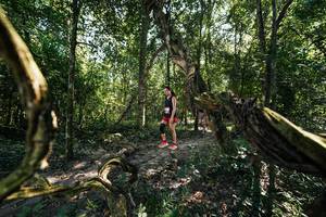 BIB: 
                            <button type="button" onclick="openModal(28066926)" class="btn btn-primary btn-sm float-right btn-popup" data-toggle="modal" data-target=".modal-high-quality">
                        <i class="fas fa-shopping-cart"></i> Add to Cart
                    </button>
                                            <button type="button" onclick="isThisMe(28066926, true)" class="btn btn-success btn-sm float-right btn-popup btn-isme hidden" data-toggle="tooltip" data-placement="bottom" title="นี่คือรูปของคุณใช่ไหม คลิกที่นี่เพื่อเอาเข้าอัลบั้ม">
                        <i class="fas fa-plus"></i> Add to album
                    </button>
                    <button type="button" onclick="isThisMe(28066926, false)" class="btn btn-warning btn-sm float-right btn-popup btn-isnotme hidden">
                        <i class="fas fa-ban"></i> Remove from album
                    </button>