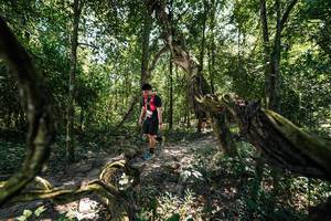 BIB: 
                            <button type="button" onclick="openModal(28068635)" class="btn btn-primary btn-sm float-right btn-popup" data-toggle="modal" data-target=".modal-high-quality">
                        <i class="fas fa-shopping-cart"></i> Add to Cart
                    </button>
                                            <button type="button" onclick="isThisMe(28068635, true)" class="btn btn-success btn-sm float-right btn-popup btn-isme hidden" data-toggle="tooltip" data-placement="bottom" title="นี่คือรูปของคุณใช่ไหม คลิกที่นี่เพื่อเอาเข้าอัลบั้ม">
                        <i class="fas fa-plus"></i> Add to album
                    </button>
                    <button type="button" onclick="isThisMe(28068635, false)" class="btn btn-warning btn-sm float-right btn-popup btn-isnotme hidden">
                        <i class="fas fa-ban"></i> Remove from album
                    </button>