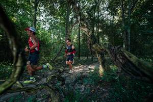 BIB: 
                            <button type="button" onclick="openModal(27953161)" class="btn btn-primary btn-sm float-right btn-popup" data-toggle="modal" data-target=".modal-high-quality">
                        <i class="fas fa-shopping-cart"></i> Add to Cart
                    </button>
                                            <button type="button" onclick="isThisMe(27953161, true)" class="btn btn-success btn-sm float-right btn-popup btn-isme hidden" data-toggle="tooltip" data-placement="bottom" title="นี่คือรูปของคุณใช่ไหม คลิกที่นี่เพื่อเอาเข้าอัลบั้ม">
                        <i class="fas fa-plus"></i> Add to album
                    </button>
                    <button type="button" onclick="isThisMe(27953161, false)" class="btn btn-warning btn-sm float-right btn-popup btn-isnotme hidden">
                        <i class="fas fa-ban"></i> Remove from album
                    </button>