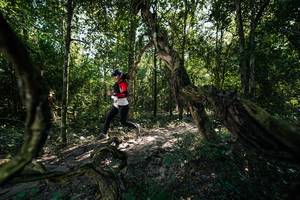 BIB: 
                            <button type="button" onclick="openModal(27958733)" class="btn btn-primary btn-sm float-right btn-popup" data-toggle="modal" data-target=".modal-high-quality">
                        <i class="fas fa-shopping-cart"></i> Add to Cart
                    </button>
                                            <button type="button" onclick="isThisMe(27958733, true)" class="btn btn-success btn-sm float-right btn-popup btn-isme hidden" data-toggle="tooltip" data-placement="bottom" title="นี่คือรูปของคุณใช่ไหม คลิกที่นี่เพื่อเอาเข้าอัลบั้ม">
                        <i class="fas fa-plus"></i> Add to album
                    </button>
                    <button type="button" onclick="isThisMe(27958733, false)" class="btn btn-warning btn-sm float-right btn-popup btn-isnotme hidden">
                        <i class="fas fa-ban"></i> Remove from album
                    </button>