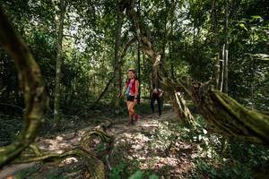 BIB: 
                            <button type="button" onclick="openModal(28076664)" class="btn btn-primary btn-sm float-right btn-popup" data-toggle="modal" data-target=".modal-high-quality">
                        <i class="fas fa-shopping-cart"></i> Add to Cart
                    </button>
                                            <button type="button" onclick="isThisMe(28076664, true)" class="btn btn-success btn-sm float-right btn-popup btn-isme hidden" data-toggle="tooltip" data-placement="bottom" title="นี่คือรูปของคุณใช่ไหม คลิกที่นี่เพื่อเอาเข้าอัลบั้ม">
                        <i class="fas fa-plus"></i> Add to album
                    </button>
                    <button type="button" onclick="isThisMe(28076664, false)" class="btn btn-warning btn-sm float-right btn-popup btn-isnotme hidden">
                        <i class="fas fa-ban"></i> Remove from album
                    </button>