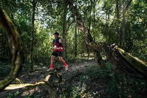 BIB: 
                            <button type="button" onclick="openModal(28058630)" class="btn btn-primary btn-sm float-right btn-popup" data-toggle="modal" data-target=".modal-high-quality">
                        <i class="fas fa-shopping-cart"></i> Add to Cart
                    </button>
                                            <button type="button" onclick="isThisMe(28058630, true)" class="btn btn-success btn-sm float-right btn-popup btn-isme hidden" data-toggle="tooltip" data-placement="bottom" title="นี่คือรูปของคุณใช่ไหม คลิกที่นี่เพื่อเอาเข้าอัลบั้ม">
                        <i class="fas fa-plus"></i> Add to album
                    </button>
                    <button type="button" onclick="isThisMe(28058630, false)" class="btn btn-warning btn-sm float-right btn-popup btn-isnotme hidden">
                        <i class="fas fa-ban"></i> Remove from album
                    </button>