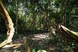 BIB: 
                            <button type="button" onclick="openModal(28077352)" class="btn btn-primary btn-sm float-right btn-popup" data-toggle="modal" data-target=".modal-high-quality">
                        <i class="fas fa-shopping-cart"></i> Add to Cart
                    </button>
                                            <button type="button" onclick="isThisMe(28077352, true)" class="btn btn-success btn-sm float-right btn-popup btn-isme hidden" data-toggle="tooltip" data-placement="bottom" title="นี่คือรูปของคุณใช่ไหม คลิกที่นี่เพื่อเอาเข้าอัลบั้ม">
                        <i class="fas fa-plus"></i> Add to album
                    </button>
                    <button type="button" onclick="isThisMe(28077352, false)" class="btn btn-warning btn-sm float-right btn-popup btn-isnotme hidden">
                        <i class="fas fa-ban"></i> Remove from album
                    </button>