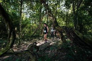 BIB: 
                            <button type="button" onclick="openModal(28056376)" class="btn btn-primary btn-sm float-right btn-popup" data-toggle="modal" data-target=".modal-high-quality">
                        <i class="fas fa-shopping-cart"></i> Add to Cart
                    </button>
                                            <button type="button" onclick="isThisMe(28056376, true)" class="btn btn-success btn-sm float-right btn-popup btn-isme hidden" data-toggle="tooltip" data-placement="bottom" title="นี่คือรูปของคุณใช่ไหม คลิกที่นี่เพื่อเอาเข้าอัลบั้ม">
                        <i class="fas fa-plus"></i> Add to album
                    </button>
                    <button type="button" onclick="isThisMe(28056376, false)" class="btn btn-warning btn-sm float-right btn-popup btn-isnotme hidden">
                        <i class="fas fa-ban"></i> Remove from album
                    </button>