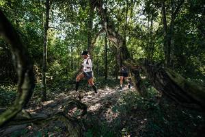 BIB: 
                            <button type="button" onclick="openModal(27955826)" class="btn btn-primary btn-sm float-right btn-popup" data-toggle="modal" data-target=".modal-high-quality">
                        <i class="fas fa-shopping-cart"></i> Add to Cart
                    </button>
                                            <button type="button" onclick="isThisMe(27955826, true)" class="btn btn-success btn-sm float-right btn-popup btn-isme hidden" data-toggle="tooltip" data-placement="bottom" title="นี่คือรูปของคุณใช่ไหม คลิกที่นี่เพื่อเอาเข้าอัลบั้ม">
                        <i class="fas fa-plus"></i> Add to album
                    </button>
                    <button type="button" onclick="isThisMe(27955826, false)" class="btn btn-warning btn-sm float-right btn-popup btn-isnotme hidden">
                        <i class="fas fa-ban"></i> Remove from album
                    </button>