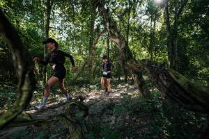 BIB: 
                            <button type="button" onclick="openModal(28056745)" class="btn btn-primary btn-sm float-right btn-popup" data-toggle="modal" data-target=".modal-high-quality">
                        <i class="fas fa-shopping-cart"></i> Add to Cart
                    </button>
                                            <button type="button" onclick="isThisMe(28056745, true)" class="btn btn-success btn-sm float-right btn-popup btn-isme hidden" data-toggle="tooltip" data-placement="bottom" title="นี่คือรูปของคุณใช่ไหม คลิกที่นี่เพื่อเอาเข้าอัลบั้ม">
                        <i class="fas fa-plus"></i> Add to album
                    </button>
                    <button type="button" onclick="isThisMe(28056745, false)" class="btn btn-warning btn-sm float-right btn-popup btn-isnotme hidden">
                        <i class="fas fa-ban"></i> Remove from album
                    </button>