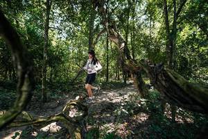 BIB: 
                            <button type="button" onclick="openModal(28069246)" class="btn btn-primary btn-sm float-right btn-popup" data-toggle="modal" data-target=".modal-high-quality">
                        <i class="fas fa-shopping-cart"></i> Add to Cart
                    </button>
                                            <button type="button" onclick="isThisMe(28069246, true)" class="btn btn-success btn-sm float-right btn-popup btn-isme hidden" data-toggle="tooltip" data-placement="bottom" title="นี่คือรูปของคุณใช่ไหม คลิกที่นี่เพื่อเอาเข้าอัลบั้ม">
                        <i class="fas fa-plus"></i> Add to album
                    </button>
                    <button type="button" onclick="isThisMe(28069246, false)" class="btn btn-warning btn-sm float-right btn-popup btn-isnotme hidden">
                        <i class="fas fa-ban"></i> Remove from album
                    </button>