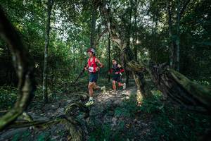 BIB: 
                            <button type="button" onclick="openModal(27953154)" class="btn btn-primary btn-sm float-right btn-popup" data-toggle="modal" data-target=".modal-high-quality">
                        <i class="fas fa-shopping-cart"></i> Add to Cart
                    </button>
                                            <button type="button" onclick="isThisMe(27953154, true)" class="btn btn-success btn-sm float-right btn-popup btn-isme hidden" data-toggle="tooltip" data-placement="bottom" title="นี่คือรูปของคุณใช่ไหม คลิกที่นี่เพื่อเอาเข้าอัลบั้ม">
                        <i class="fas fa-plus"></i> Add to album
                    </button>
                    <button type="button" onclick="isThisMe(27953154, false)" class="btn btn-warning btn-sm float-right btn-popup btn-isnotme hidden">
                        <i class="fas fa-ban"></i> Remove from album
                    </button>