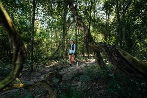 BIB: 
                            <button type="button" onclick="openModal(28057680)" class="btn btn-primary btn-sm float-right btn-popup" data-toggle="modal" data-target=".modal-high-quality">
                        <i class="fas fa-shopping-cart"></i> Add to Cart
                    </button>
                                            <button type="button" onclick="isThisMe(28057680, true)" class="btn btn-success btn-sm float-right btn-popup btn-isme hidden" data-toggle="tooltip" data-placement="bottom" title="นี่คือรูปของคุณใช่ไหม คลิกที่นี่เพื่อเอาเข้าอัลบั้ม">
                        <i class="fas fa-plus"></i> Add to album
                    </button>
                    <button type="button" onclick="isThisMe(28057680, false)" class="btn btn-warning btn-sm float-right btn-popup btn-isnotme hidden">
                        <i class="fas fa-ban"></i> Remove from album
                    </button>