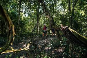 BIB: 
                            <button type="button" onclick="openModal(28067544)" class="btn btn-primary btn-sm float-right btn-popup" data-toggle="modal" data-target=".modal-high-quality">
                        <i class="fas fa-shopping-cart"></i> Add to Cart
                    </button>
                                            <button type="button" onclick="isThisMe(28067544, true)" class="btn btn-success btn-sm float-right btn-popup btn-isme hidden" data-toggle="tooltip" data-placement="bottom" title="นี่คือรูปของคุณใช่ไหม คลิกที่นี่เพื่อเอาเข้าอัลบั้ม">
                        <i class="fas fa-plus"></i> Add to album
                    </button>
                    <button type="button" onclick="isThisMe(28067544, false)" class="btn btn-warning btn-sm float-right btn-popup btn-isnotme hidden">
                        <i class="fas fa-ban"></i> Remove from album
                    </button>