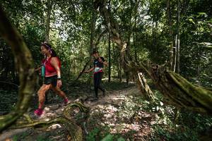 BIB: 
                            <button type="button" onclick="openModal(28076701)" class="btn btn-primary btn-sm float-right btn-popup" data-toggle="modal" data-target=".modal-high-quality">
                        <i class="fas fa-shopping-cart"></i> Add to Cart
                    </button>
                                            <button type="button" onclick="isThisMe(28076701, true)" class="btn btn-success btn-sm float-right btn-popup btn-isme hidden" data-toggle="tooltip" data-placement="bottom" title="นี่คือรูปของคุณใช่ไหม คลิกที่นี่เพื่อเอาเข้าอัลบั้ม">
                        <i class="fas fa-plus"></i> Add to album
                    </button>
                    <button type="button" onclick="isThisMe(28076701, false)" class="btn btn-warning btn-sm float-right btn-popup btn-isnotme hidden">
                        <i class="fas fa-ban"></i> Remove from album
                    </button>