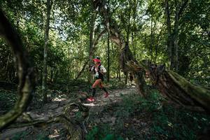 BIB: 
                            <button type="button" onclick="openModal(28072432)" class="btn btn-primary btn-sm float-right btn-popup" data-toggle="modal" data-target=".modal-high-quality">
                        <i class="fas fa-shopping-cart"></i> Add to Cart
                    </button>
                                            <button type="button" onclick="isThisMe(28072432, true)" class="btn btn-success btn-sm float-right btn-popup btn-isme hidden" data-toggle="tooltip" data-placement="bottom" title="นี่คือรูปของคุณใช่ไหม คลิกที่นี่เพื่อเอาเข้าอัลบั้ม">
                        <i class="fas fa-plus"></i> Add to album
                    </button>
                    <button type="button" onclick="isThisMe(28072432, false)" class="btn btn-warning btn-sm float-right btn-popup btn-isnotme hidden">
                        <i class="fas fa-ban"></i> Remove from album
                    </button>