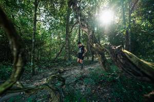 BIB: 
                            <button type="button" onclick="openModal(27953895)" class="btn btn-primary btn-sm float-right btn-popup" data-toggle="modal" data-target=".modal-high-quality">
                        <i class="fas fa-shopping-cart"></i> Add to Cart
                    </button>
                                            <button type="button" onclick="isThisMe(27953895, true)" class="btn btn-success btn-sm float-right btn-popup btn-isme hidden" data-toggle="tooltip" data-placement="bottom" title="นี่คือรูปของคุณใช่ไหม คลิกที่นี่เพื่อเอาเข้าอัลบั้ม">
                        <i class="fas fa-plus"></i> Add to album
                    </button>
                    <button type="button" onclick="isThisMe(27953895, false)" class="btn btn-warning btn-sm float-right btn-popup btn-isnotme hidden">
                        <i class="fas fa-ban"></i> Remove from album
                    </button>