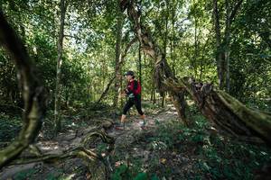 BIB: 
                            <button type="button" onclick="openModal(28072135)" class="btn btn-primary btn-sm float-right btn-popup" data-toggle="modal" data-target=".modal-high-quality">
                        <i class="fas fa-shopping-cart"></i> Add to Cart
                    </button>
                                            <button type="button" onclick="isThisMe(28072135, true)" class="btn btn-success btn-sm float-right btn-popup btn-isme hidden" data-toggle="tooltip" data-placement="bottom" title="นี่คือรูปของคุณใช่ไหม คลิกที่นี่เพื่อเอาเข้าอัลบั้ม">
                        <i class="fas fa-plus"></i> Add to album
                    </button>
                    <button type="button" onclick="isThisMe(28072135, false)" class="btn btn-warning btn-sm float-right btn-popup btn-isnotme hidden">
                        <i class="fas fa-ban"></i> Remove from album
                    </button>