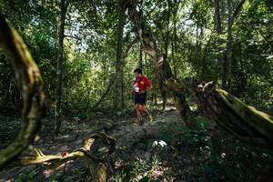 BIB: 
                            <button type="button" onclick="openModal(28058678)" class="btn btn-primary btn-sm float-right btn-popup" data-toggle="modal" data-target=".modal-high-quality">
                        <i class="fas fa-shopping-cart"></i> Add to Cart
                    </button>
                                            <button type="button" onclick="isThisMe(28058678, true)" class="btn btn-success btn-sm float-right btn-popup btn-isme hidden" data-toggle="tooltip" data-placement="bottom" title="นี่คือรูปของคุณใช่ไหม คลิกที่นี่เพื่อเอาเข้าอัลบั้ม">
                        <i class="fas fa-plus"></i> Add to album
                    </button>
                    <button type="button" onclick="isThisMe(28058678, false)" class="btn btn-warning btn-sm float-right btn-popup btn-isnotme hidden">
                        <i class="fas fa-ban"></i> Remove from album
                    </button>