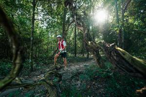 BIB: 
                            <button type="button" onclick="openModal(27953936)" class="btn btn-primary btn-sm float-right btn-popup" data-toggle="modal" data-target=".modal-high-quality">
                        <i class="fas fa-shopping-cart"></i> Add to Cart
                    </button>
                                            <button type="button" onclick="isThisMe(27953936, true)" class="btn btn-success btn-sm float-right btn-popup btn-isme hidden" data-toggle="tooltip" data-placement="bottom" title="นี่คือรูปของคุณใช่ไหม คลิกที่นี่เพื่อเอาเข้าอัลบั้ม">
                        <i class="fas fa-plus"></i> Add to album
                    </button>
                    <button type="button" onclick="isThisMe(27953936, false)" class="btn btn-warning btn-sm float-right btn-popup btn-isnotme hidden">
                        <i class="fas fa-ban"></i> Remove from album
                    </button>