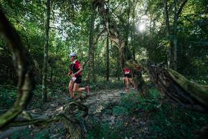 BIB: 
                            <button type="button" onclick="openModal(27953564)" class="btn btn-primary btn-sm float-right btn-popup" data-toggle="modal" data-target=".modal-high-quality">
                        <i class="fas fa-shopping-cart"></i> Add to Cart
                    </button>
                                            <button type="button" onclick="isThisMe(27953564, true)" class="btn btn-success btn-sm float-right btn-popup btn-isme hidden" data-toggle="tooltip" data-placement="bottom" title="นี่คือรูปของคุณใช่ไหม คลิกที่นี่เพื่อเอาเข้าอัลบั้ม">
                        <i class="fas fa-plus"></i> Add to album
                    </button>
                    <button type="button" onclick="isThisMe(27953564, false)" class="btn btn-warning btn-sm float-right btn-popup btn-isnotme hidden">
                        <i class="fas fa-ban"></i> Remove from album
                    </button>