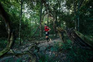 BIB: 
                            <button type="button" onclick="openModal(27953015)" class="btn btn-primary btn-sm float-right btn-popup" data-toggle="modal" data-target=".modal-high-quality">
                        <i class="fas fa-shopping-cart"></i> Add to Cart
                    </button>
                                            <button type="button" onclick="isThisMe(27953015, true)" class="btn btn-success btn-sm float-right btn-popup btn-isme hidden" data-toggle="tooltip" data-placement="bottom" title="นี่คือรูปของคุณใช่ไหม คลิกที่นี่เพื่อเอาเข้าอัลบั้ม">
                        <i class="fas fa-plus"></i> Add to album
                    </button>
                    <button type="button" onclick="isThisMe(27953015, false)" class="btn btn-warning btn-sm float-right btn-popup btn-isnotme hidden">
                        <i class="fas fa-ban"></i> Remove from album
                    </button>